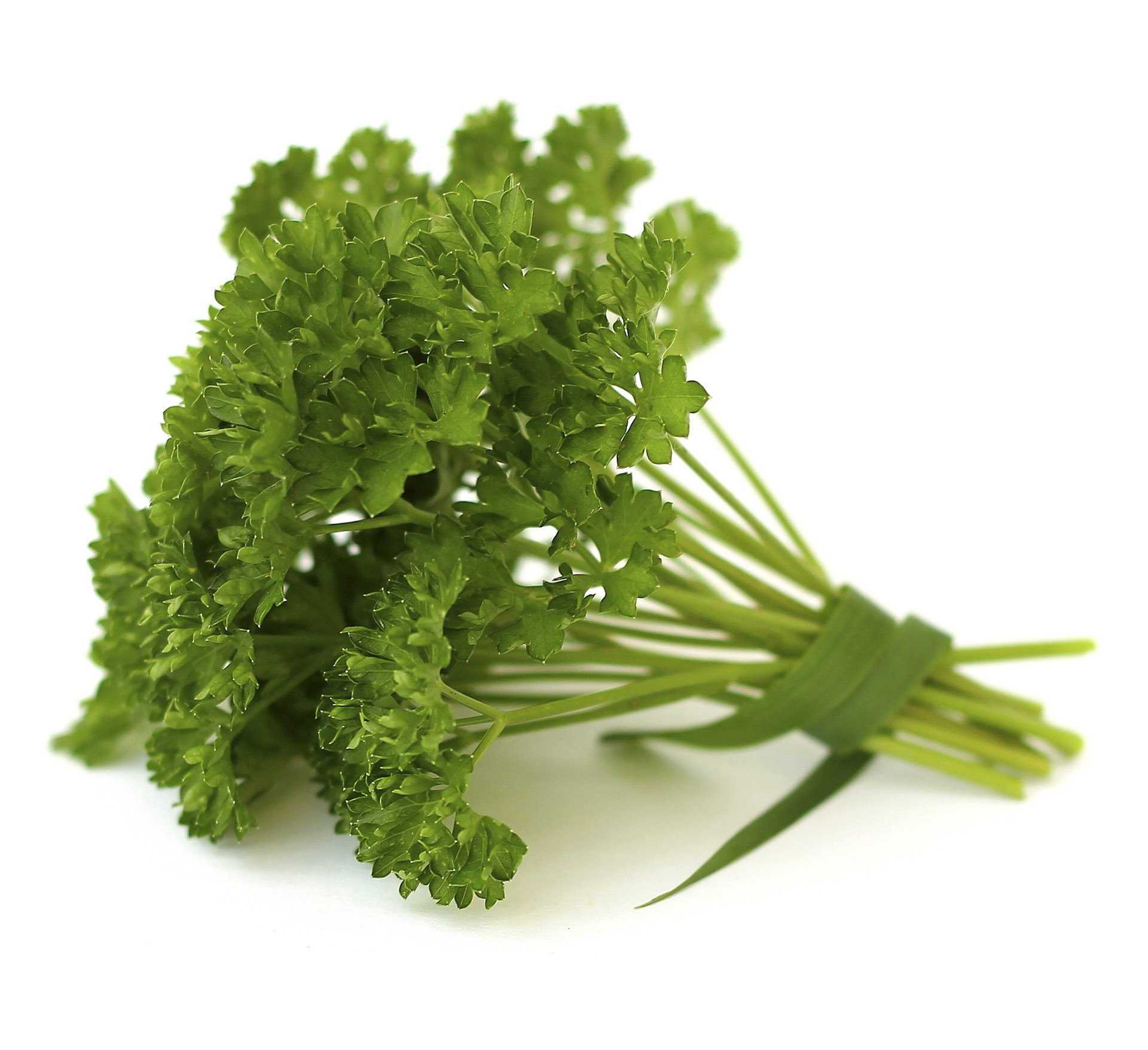 Ngò tây (Parsley)