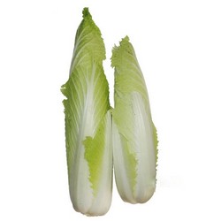 Cải thảo dài