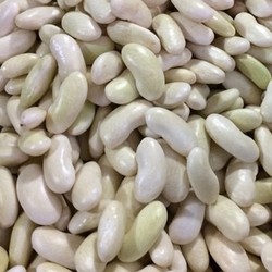 Đậu trắng tươi