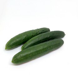 Dưa leo
