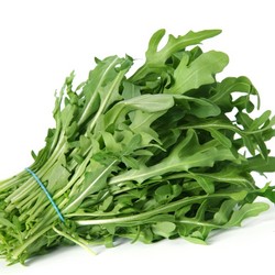 Arugula Rocket