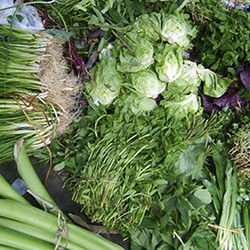 Rau thơm các loại