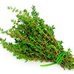 Xạ hương (Thyme)