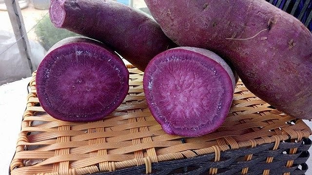 Khoai lang ruột tím