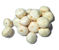 Nấm mỡ trắng