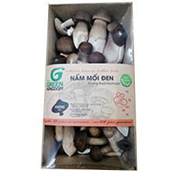 Nấm mối đen