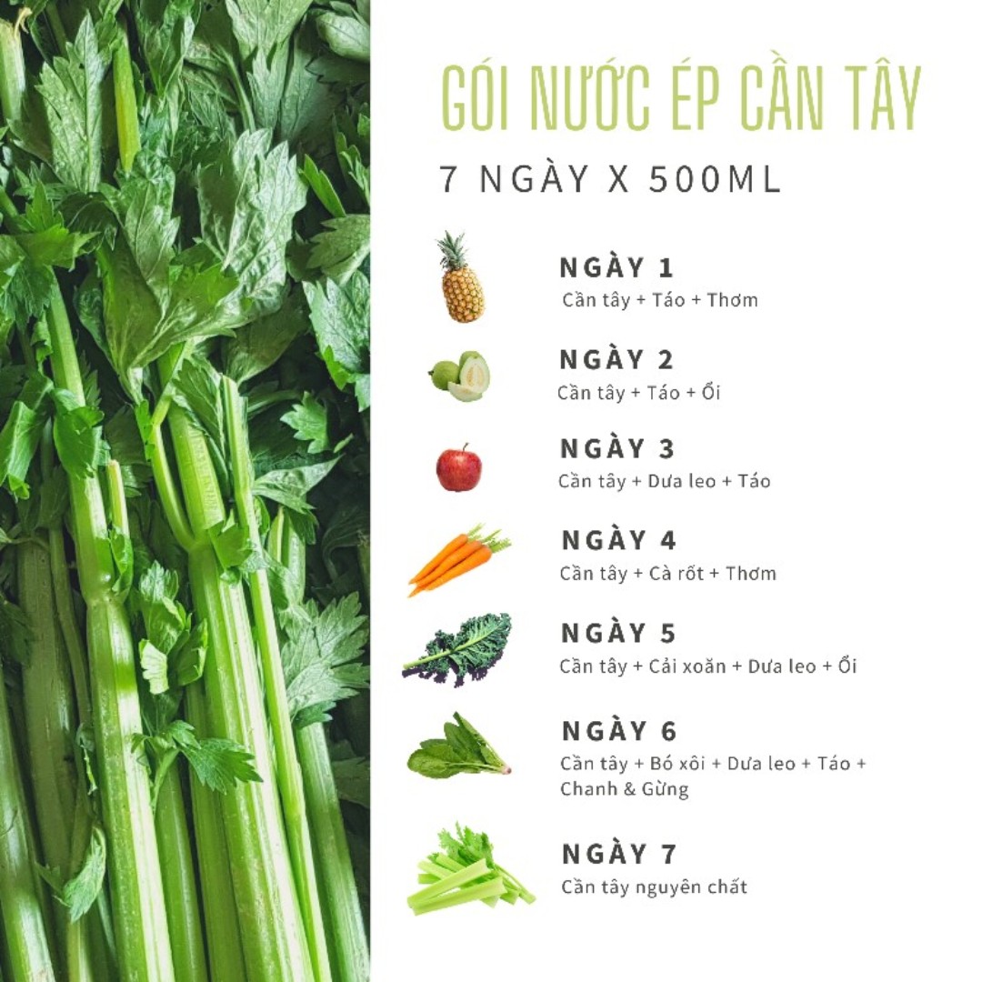 Gói nước ép cần tây 7 ngày