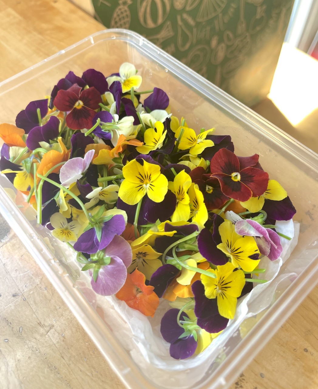 Hoa Viola / Pansy (edible ...