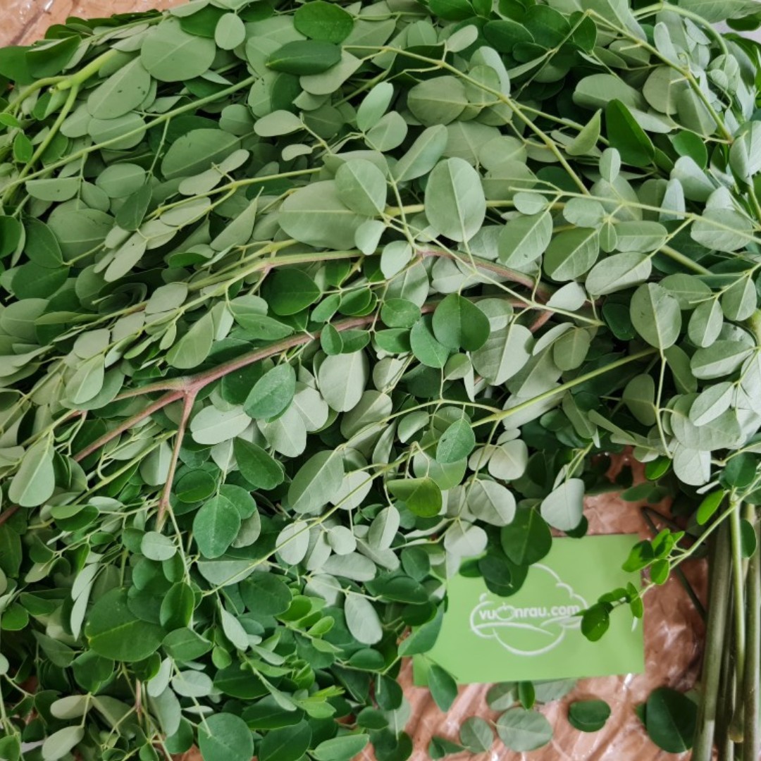 Rau chùm ngây