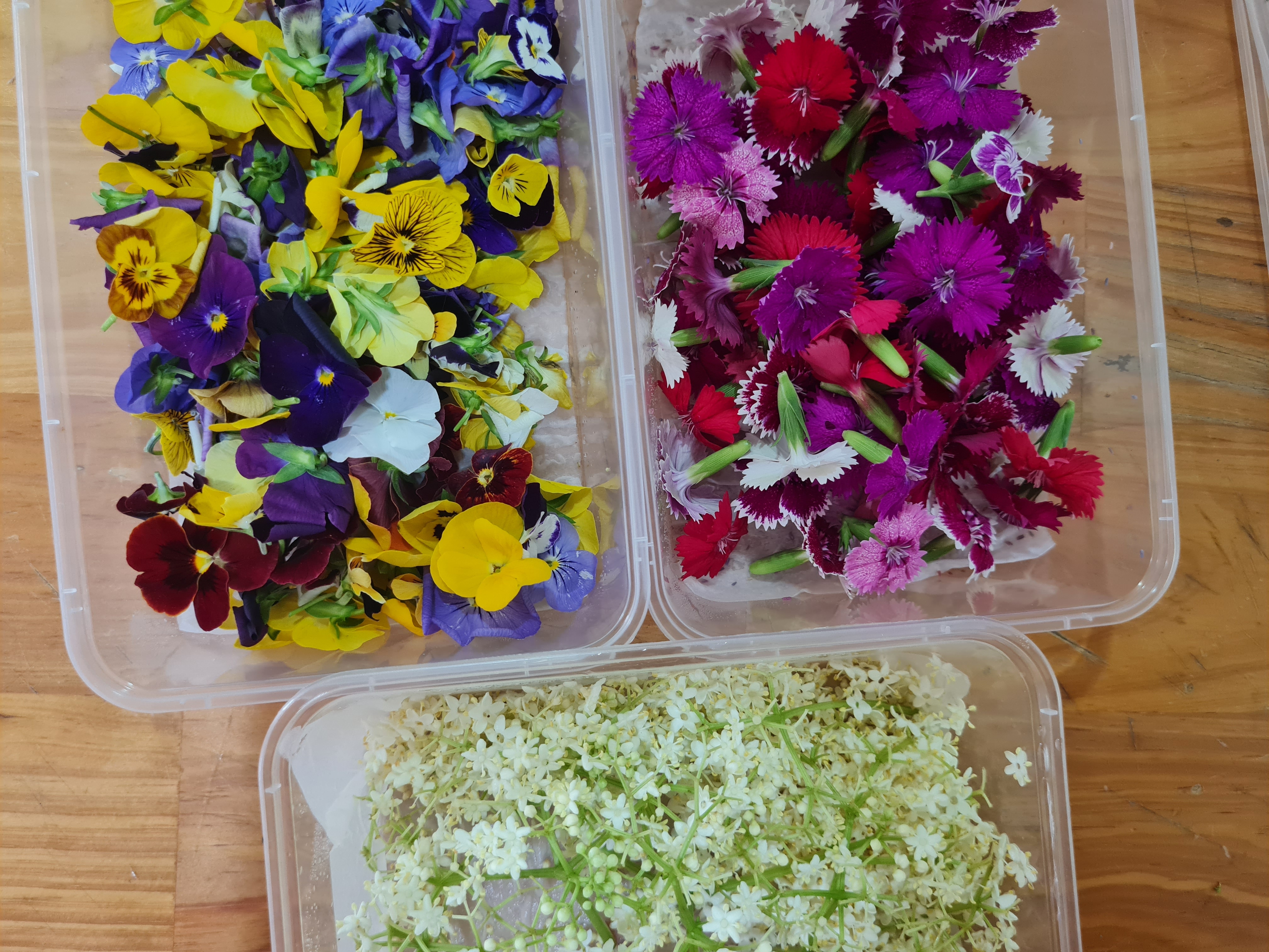 Hoa trang trí các loại/ Edible Flowers