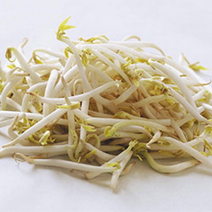 Giá đậu xanh