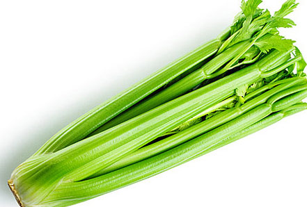 Cần tây chữa bí tiểu, cao huyết áp