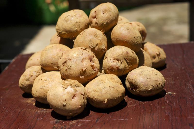 Túi Khoai Tây 3kg